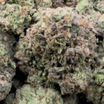 CARAMEL APPLE GELATO